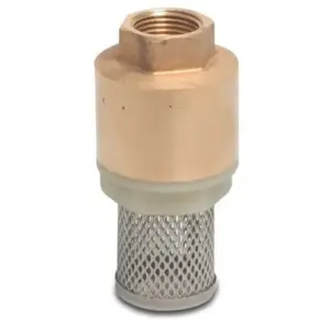 Federbelastetes Fussventil Profec Messing 3/4" IG 10 Bar