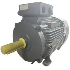 VEM Drehstromasynchronmotor IE2-WE1R 160 MX2 B3 - 15 kW