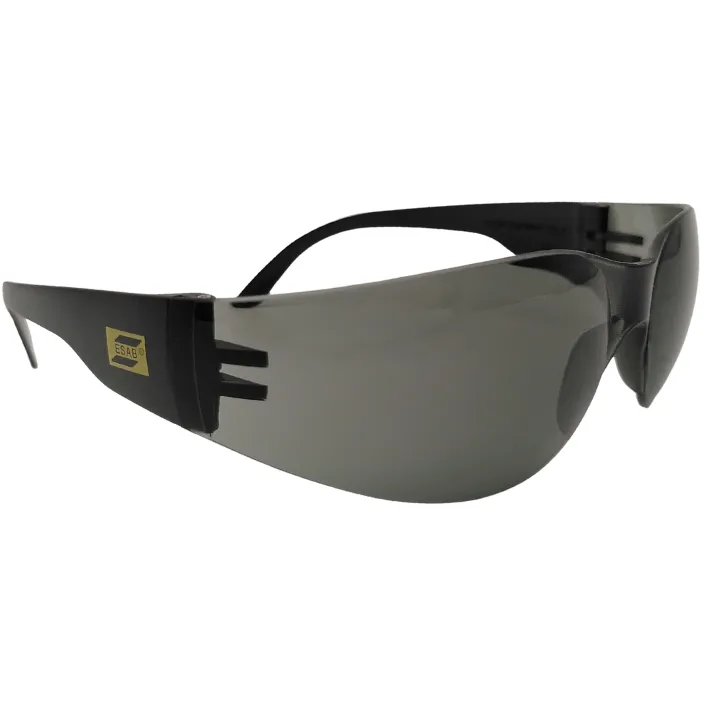 Esab Schutzbrille ECO Rauch