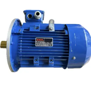 Drehstromasynchronmotor IE2-132/2 B5 - 5,5kW