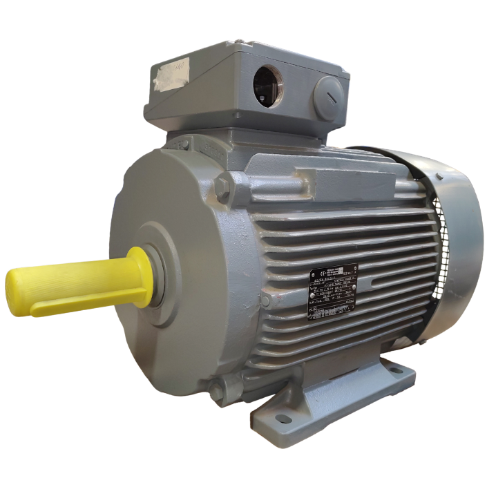 VEM Drehstromasynchronmotor IE2-WE1R 160 MX2 B3 - 15 kW